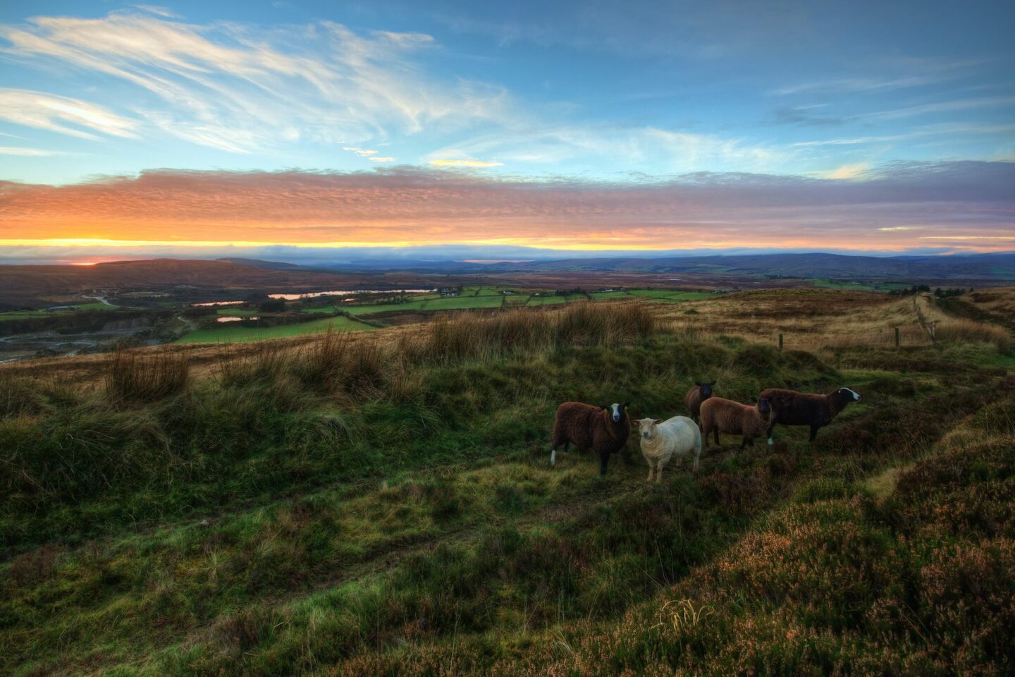 Blog Title: Shamrock Shenanigans – Solo travel in County Wicklow